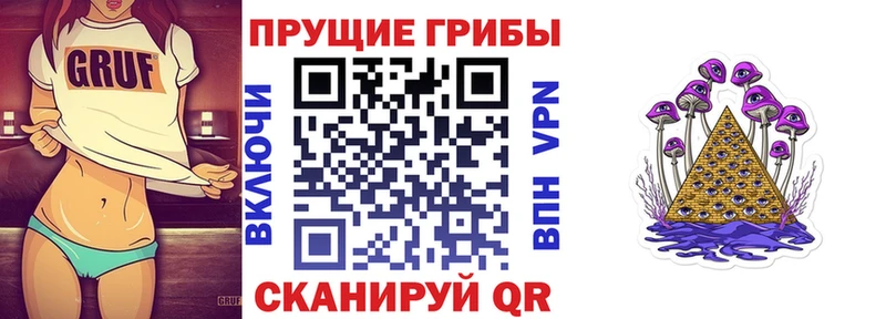Псилоцибиновые грибы Cubensis  Калининград 