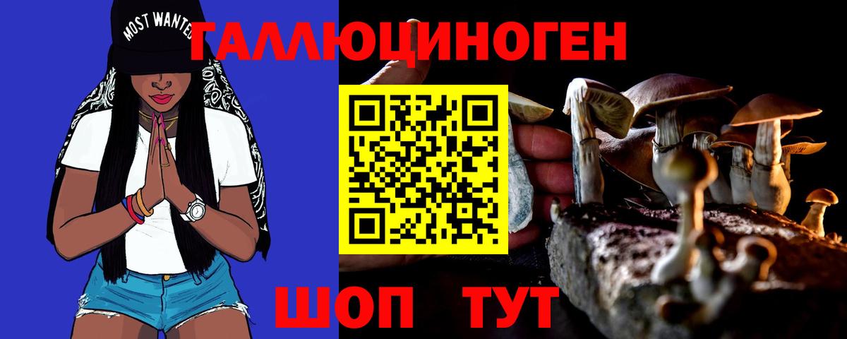 Псилоцибиновые грибы Psilocybine cubensis Калининград